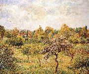 Camille Pissarro The apple trees on the lawn France oil painting artist
